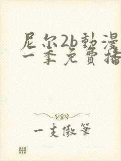 尼尔2b动漫第一季免费播放