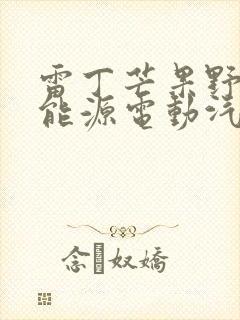 雷丁芒果野马新能源电动汽车多少钱 雷丁芒果野马新能源电动汽车多少钱