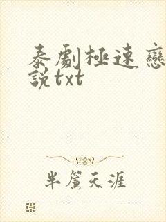 泰剧极速恋人小说txt
