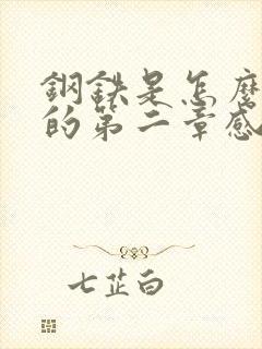 钢铁是怎么炼成的第二章感悟50字