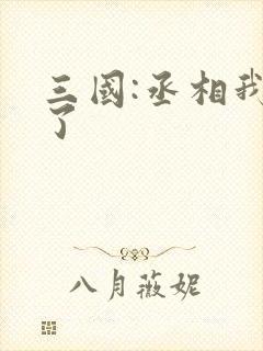 三国:丞相我来了