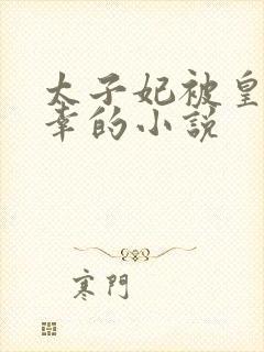 太子妃被皇上宠幸的小说