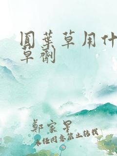 圆叶草用什么除草剂