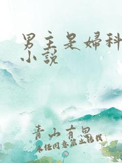 男主是妇科医生小说