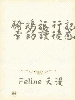 骑鹅旅行记第一章的读后感100字