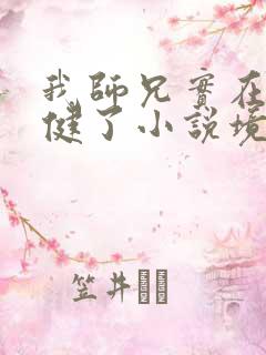 我师兄实在太稳健了小说境界划分