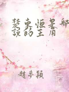 楚东恒是哪部小说的主角