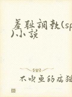 羞耻调教(sp)小说