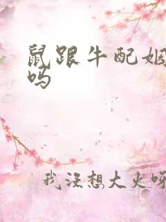 鼠跟牛配姻缘好吗
