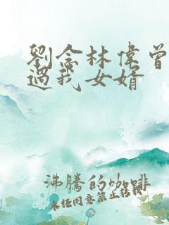 刘念林伟曾经爱过我女婿