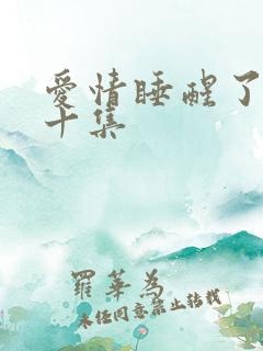 爱情睡醒了第三十集