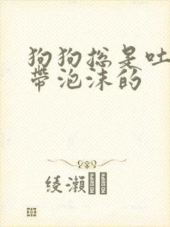 狗狗总是吐黄水带泡沫的