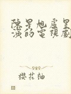 陈星旭卢昱晓主演的电视剧