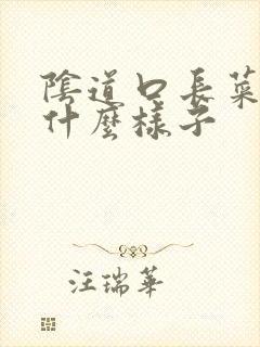 阴道口长菜花是什么样子