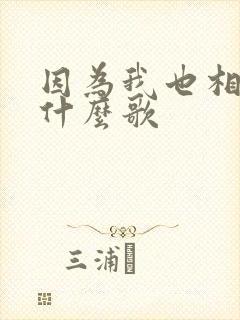 因为我也相信是什么歌