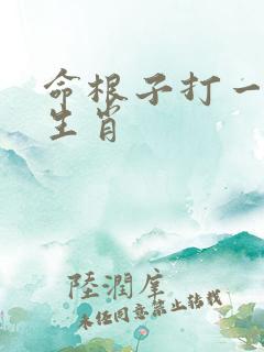命根子打一准确生肖