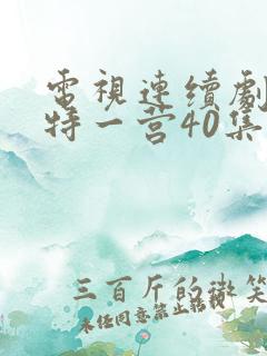电视连续剧我的特一营40集