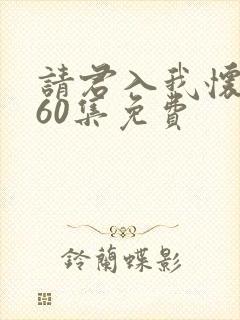 请君入我怀1~60集免费