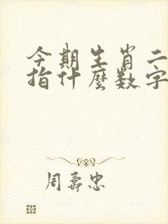 今期生肖二四开指什么数字