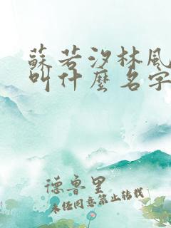 苏若汐林风小说叫什么名字