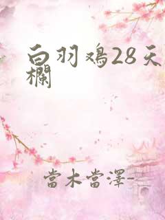 白羽鸡28天出栏 白羽鸡28天出栏