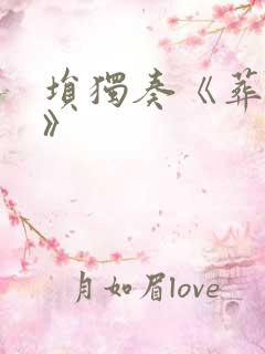 埙独奏《葬花吟》