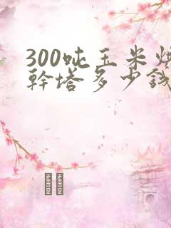 300吨玉米烘干塔多少钱 300吨玉米烘干塔多少钱