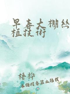 早春大棚丝瓜种植技术