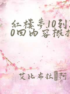 红楼梦10到20回内容概括