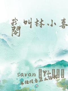 我叫林小喜笔趣阁