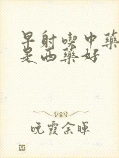 早射吃中药好还是西药好