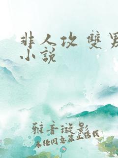 非人攻 双男主小说