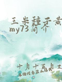 玉米种子黄金粮my73简介
