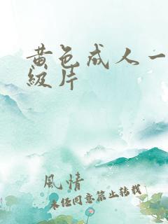 黄色成人一级二级片
