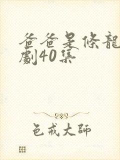 爸爸是条龙电视剧40集