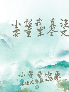小说我真没想过要重生全文阅读