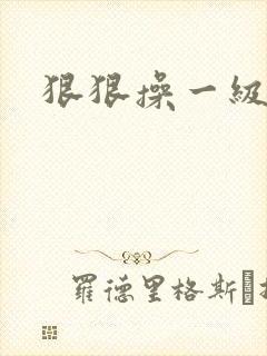 狠狠操一级片