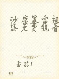沙尘暴电视剧全集免费观看完整版