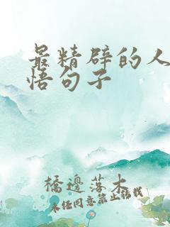最精辟的人生感悟句子