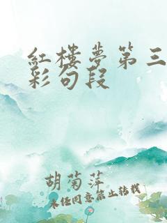 红楼梦第三回精彩句段
