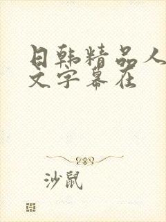 日韩精品人妻中文字幕在