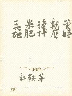 玉米后期管理和施肥什么时间最佳