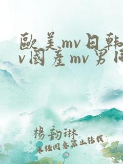 欧美mv日韩mv国产mv男同志