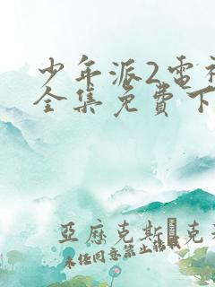 少年派2电视剧全集免费下载