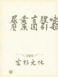 尿黄有腥味是什么原因引起的