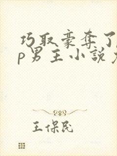 巧取豪夺了无cp男主小说免费阅读