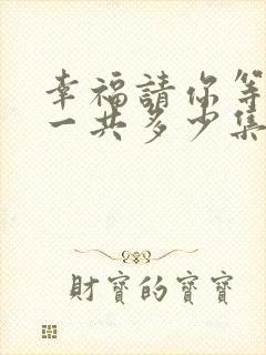 幸福请你等等我一共多少集电视剧