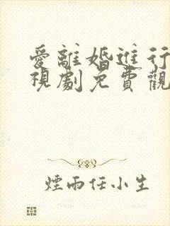 爱离婚进行时电视剧免费观看