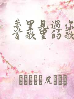 梦里见过你是哪首歌里的歌词