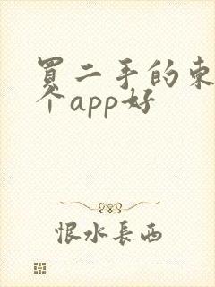 买二手的东西哪个app好